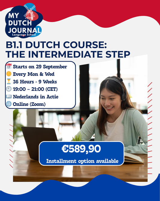 B1.1 Dutch Course: The Intermediate Step (English Supported)