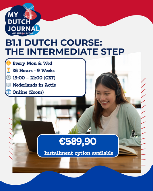 B1.1 Dutch Course: The Intermediate Step (English Supported)